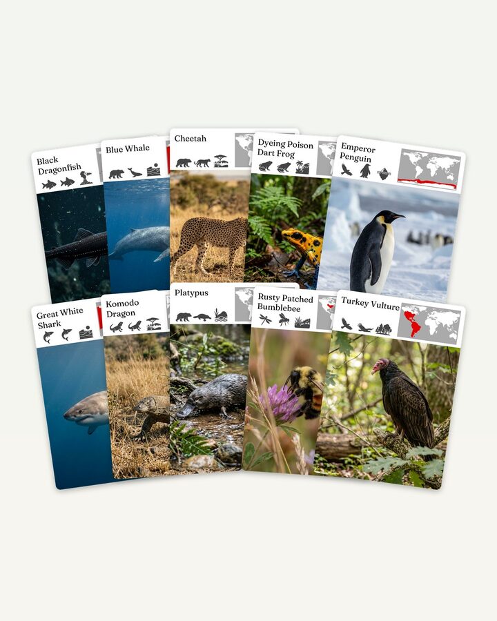 A fan of ten wildlife cards from one month — black dragonfish, blue whale, cheetah, dyeing poison dart frog, emperor penguin, great white shark, Komodo dragon, platypus, rusty patched bumblebee and turkey vulture